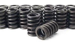 Head Studs, Springs and Pushrods package
